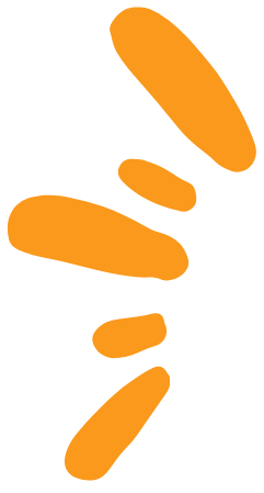 bg4